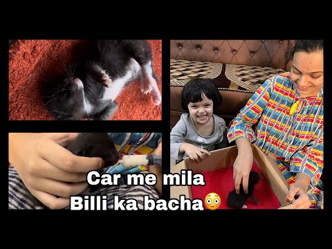 I found a baby cat in the bumper of our car 😱#meenazfam #viral #views