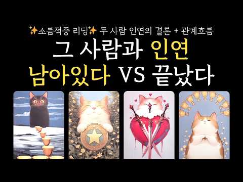 [타로]🦋소름적중 리딩🦋 그 사람과 인연 남아있다❤️vs끝났다💔 재회운+관계흐름