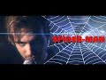 Spectacular Spiderman Full Theme Song - The Tender Box Cover