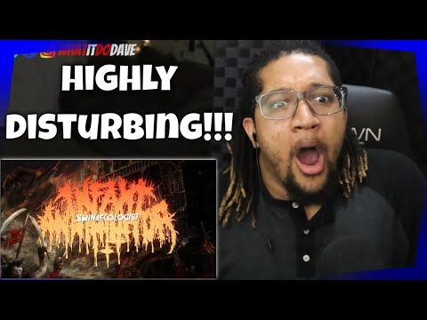 METAL TUESDAYS | Reaction to SWINAECOLOGIST - Lyric Video