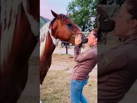 Kusje van mijn grote vriend Dakota #painthorse #equestrian #kusje #kiss