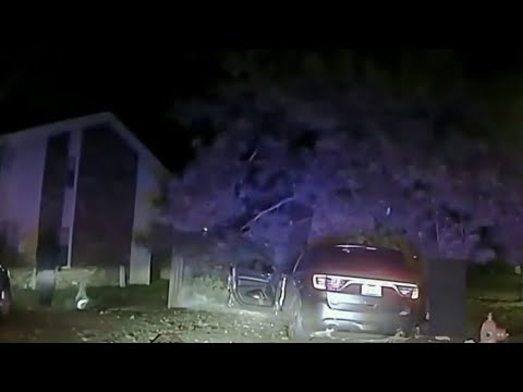 Lawsuit filed in Michigan State Police dog attack caught on camera