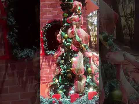 olha pessoal a festa que vai ter em são José de princesa coisa mais linda.