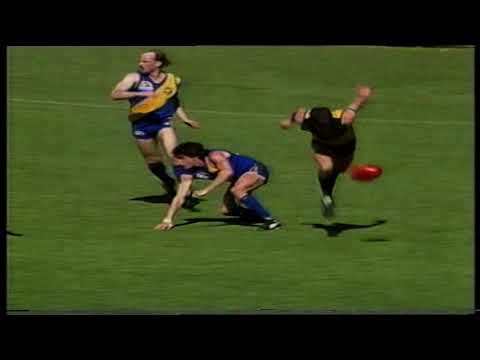 1990 Round 20 Woodville 24.10 154 d Torrens 15.19 104