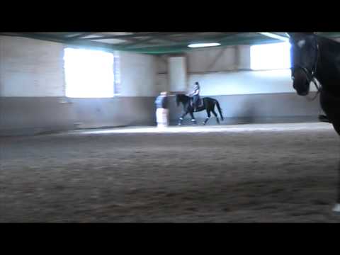 Dressurlehrgang 11.10.2014