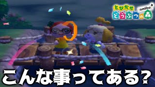 【とび森】世界で一番悲しい式典を開催してしまいました【とびだせどうぶつの森】