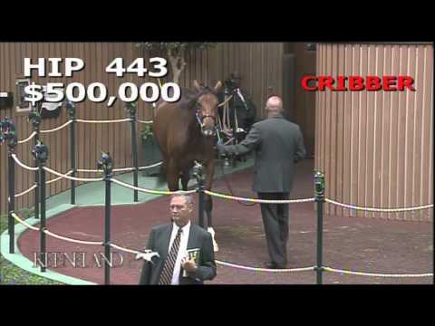 2015 September Yearling Sale - Hip 443 (Fastnet Rock - Maryinsky (IRE))