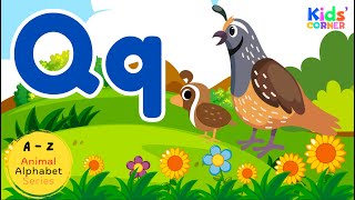 Letter Q | Animals that Start with Q | Learn Animal Names | English Vocabulary for Kids