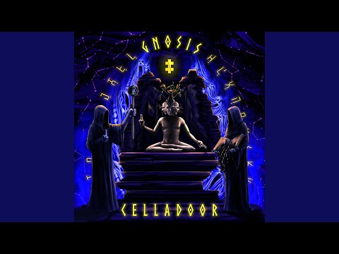 Chest Full Of Snakes