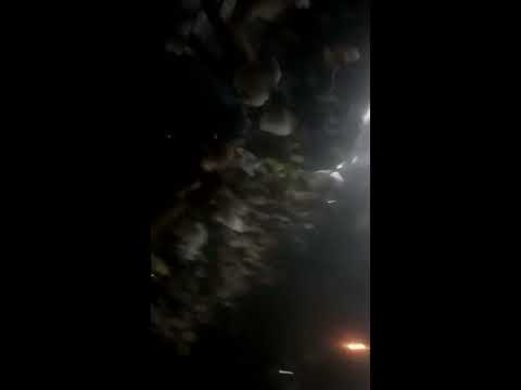 Pumping Storm 10/2016 #7