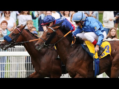 Zauberkönig wird am 03.09.2025 im BBAG Auktionsrennen knapp geschlagen Zweiter