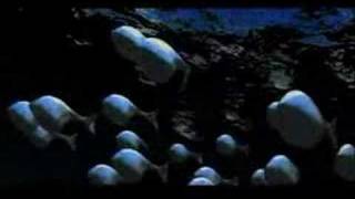 The Sushi Club - Sushidelic Phonk