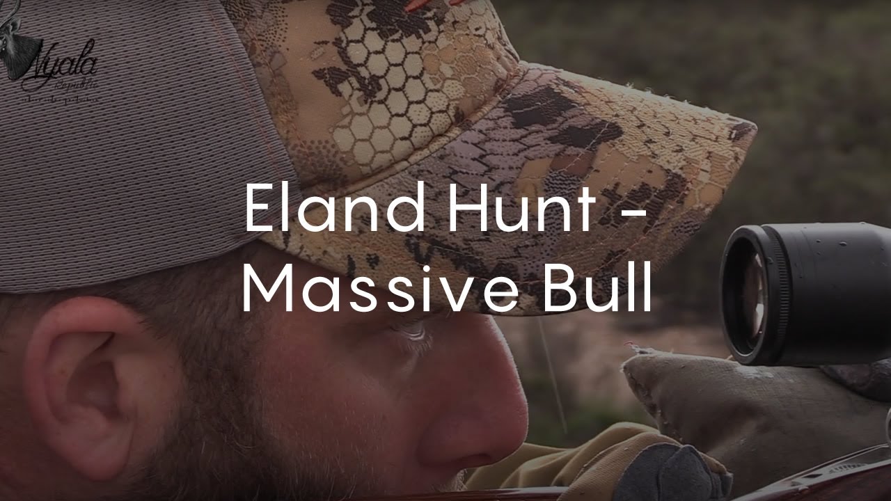 Eland Hunt - Massive Bull