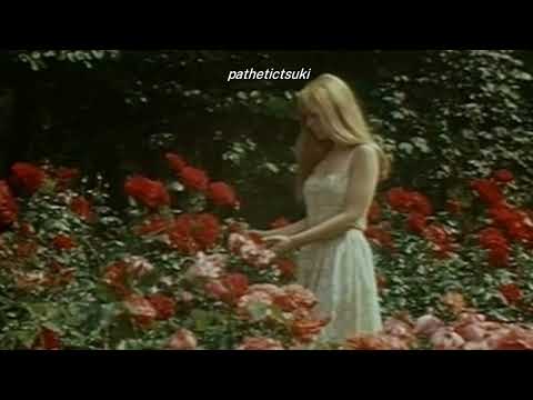 Lana Del Rey - Salvatore ~(Sped up)