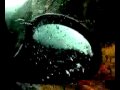Telefuzz - Abstract Trains and Imaginary Rain