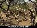 Zulu Culture And Traditions