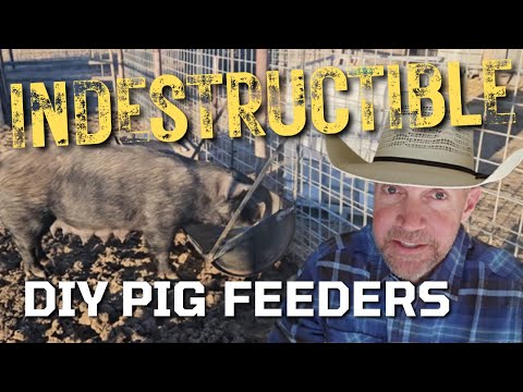 🚜💥 INDESTRUCTIBLE DIY Pig Feeders | Holding Up Against Destructive Pigs (No More Wasted Feed!)