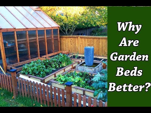 Why Raised Garden Beds Are Better