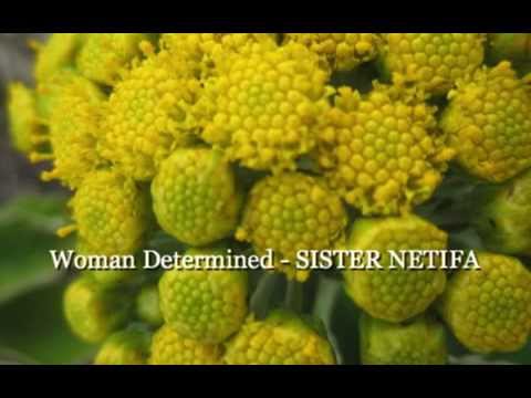 Woman Determined - SISTER NETIFA