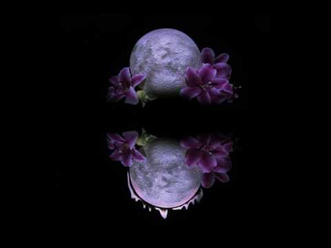 A Lot Like Birds "From Moon to Son"