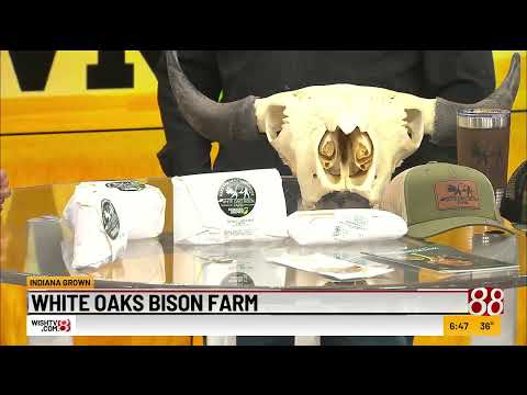 October 17, 2026 - White Oaks Bison Farm