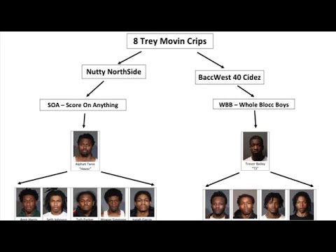 11 indicted in Queens gang takedown, linked to several shootings: DA