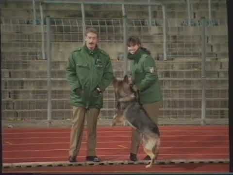 1992/93: FC Homburg - SV Meppen 1:1