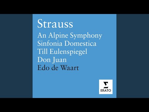 An Alpine Symphony, Op. 64: IX. Lost in the Thickets and Undergrowth