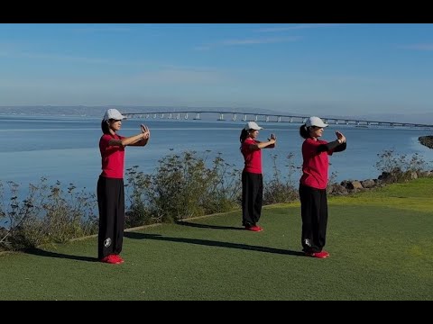 Health Qigong Yi Jin Jing - Tendon Muscle Stretching Exercise 健身氣功易筋經 英文講解 中文字幕 全套演練