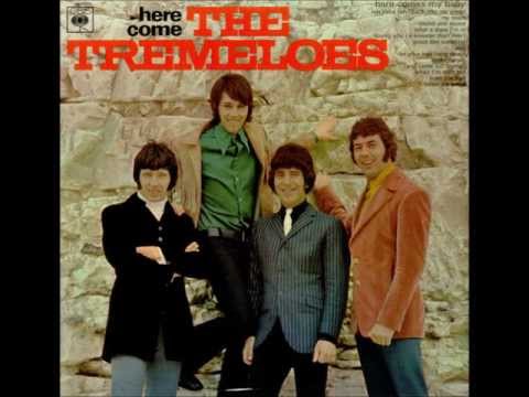The Tremeloes   When i'm with her