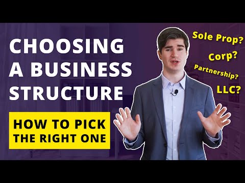 YouTube video about Business structure options
