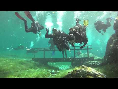 download lagu mp3 mp4 Grner See Tauchen, download lagu Grner See Tauchen gratis, unduh video klip Grner See Tauchen