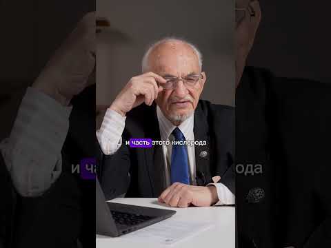 Функции митохондрий Функции митохондрий