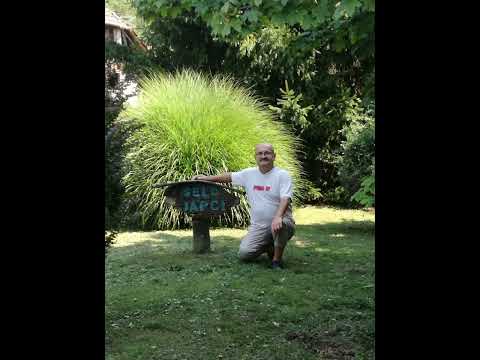 Stjepan Japec Japa   Zagorska me majka rodila