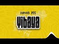 Hamis Bss - Vibaya (Official Audio)