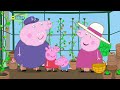 BRAND NEW PEPPA PIG EPISODE Grandpa Pig S Greenhouse July 27 2017