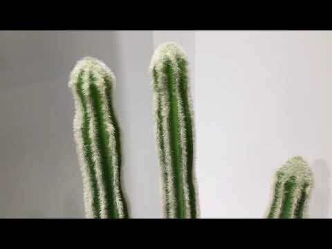 PlantsRus Pooky 24 Inch Artificial Cactus Potted Plant