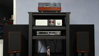 September in Montreal by Anne Bisson