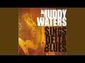 Country Blues