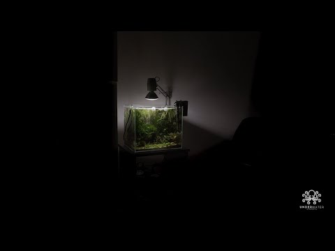 MY LOST WORLD | NANO AQUASCAPING | CINEMATIC AQUASCAPING