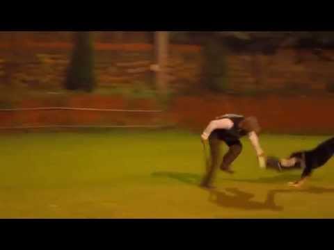 20141113 Butas janaka