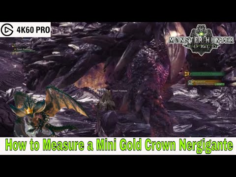 Monster Hunter: World - How to Measure a Mini Gold Crown Nergigante Video