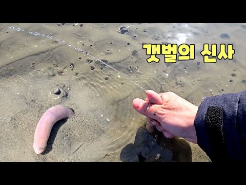 아이콘
