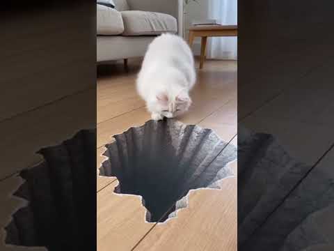 #foryou #funny #funnyhumor #humor