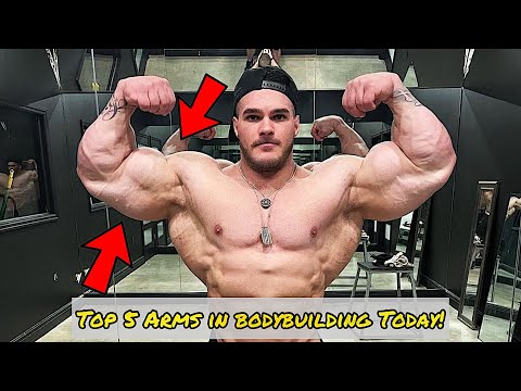 Top 5 Arms in Bodybuilding Today!