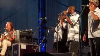 Hans Theessink with Insingizi - Love You Baby