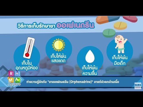 เพิ่มขึ้นเมล็ดฟักทองแรง หญิงติดเชื้อลดลงแมลงวันสเปน