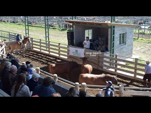 AIre de campo Nro: 495- Septiembre de 2017