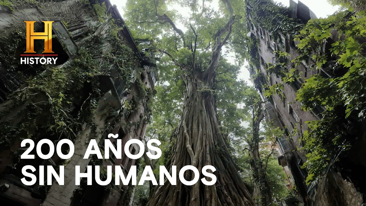 Coyotes en Manhattan: La Naturaleza Devora Nueva York 🐺🗽 - LA TIERRA SIN HUMANOS