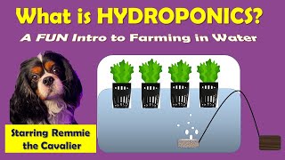 Thumbnail for video: Hydroponics For Kids: What is Hydroponics? A FUN Introduction to Hydroponics